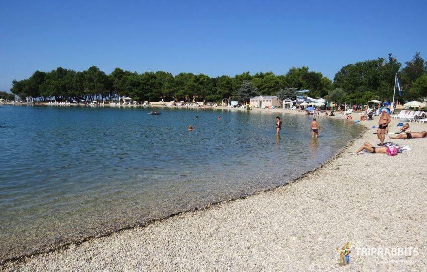 Kuca Za Odmor Petra Daire Cepljani Dış mekan fotoğraf