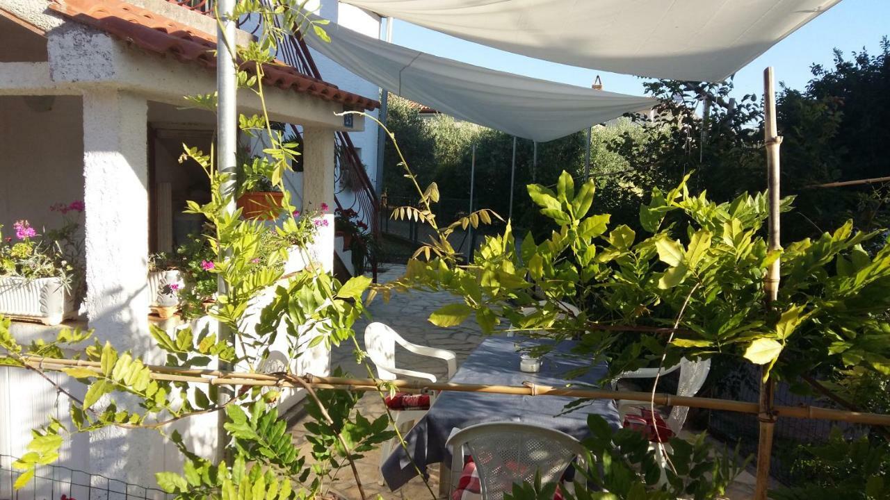 Kuca Za Odmor Petra Daire Cepljani Dış mekan fotoğraf